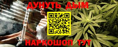 гидра Бердск