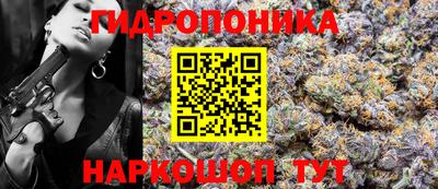гидра Бердск