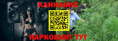 гидра Бердск