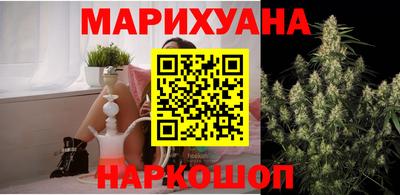 гидра Бердск