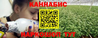гидра Бердск