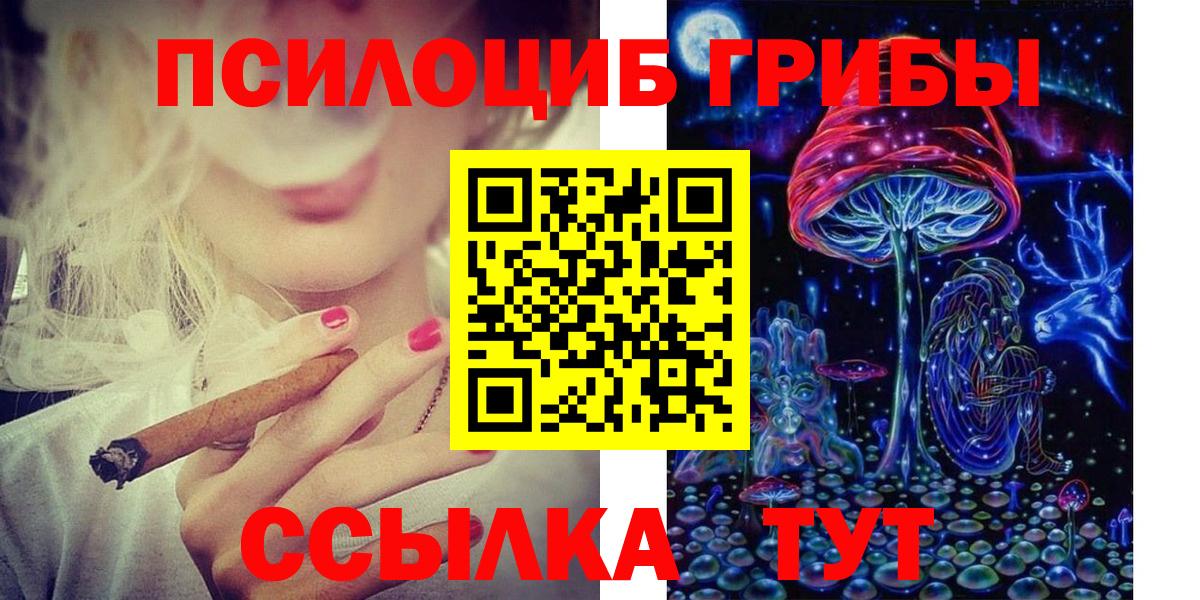 Псилоцибиновые грибы мицелий Волгоград